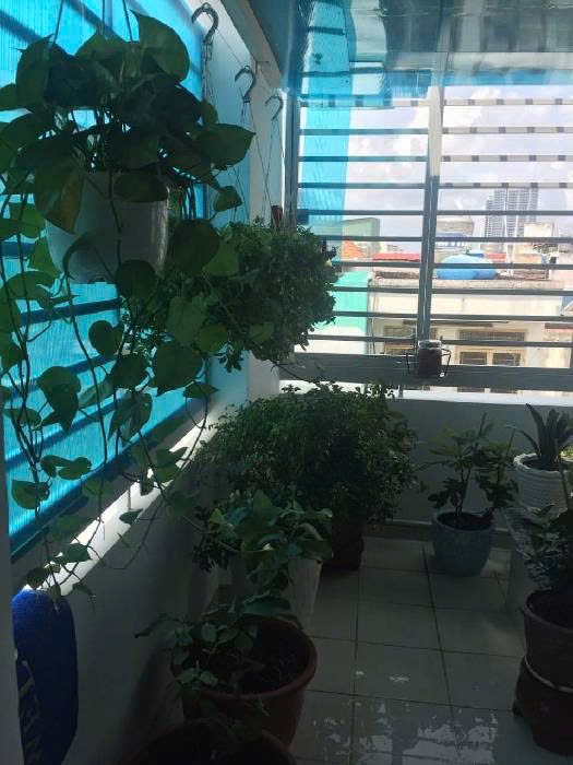 Bán nhà 3 tầng, ngang 4m, 3 ngủ, hẻm xe hơi, Tôn Thất Hiệp, Quận 6 - 6.2 tỷ