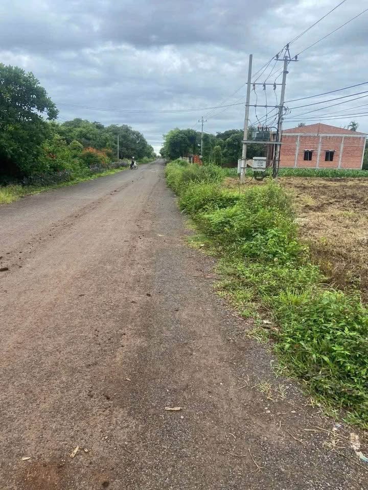 Đất mặt tiền đường nhựa Quảng Hiệp, Buôn Đôn