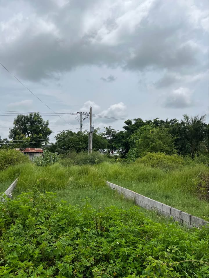 Đất thổ cư Bình Thuận, sổ sẵn, giá cắt lỗ 800 củ