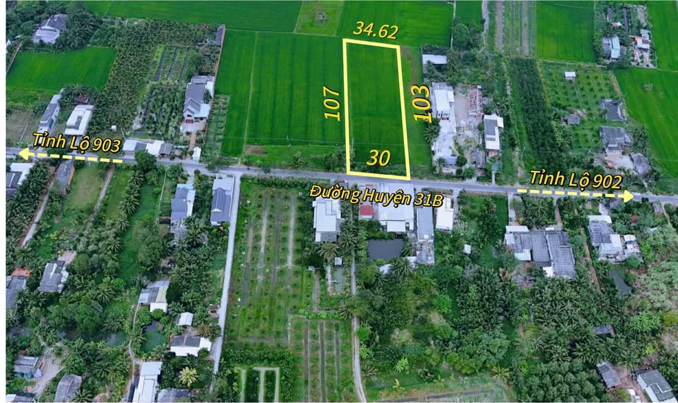 Cơ hội sở hữu ngay mặt tiền đường Huyện 31B với diện tích khủng 3390m2