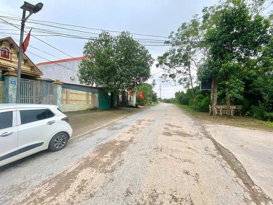 Bán đất mặt đường Tỉnh lộ 316B, Hưng Hoá, Tam Nông, Phú Thọ - 163.1m2