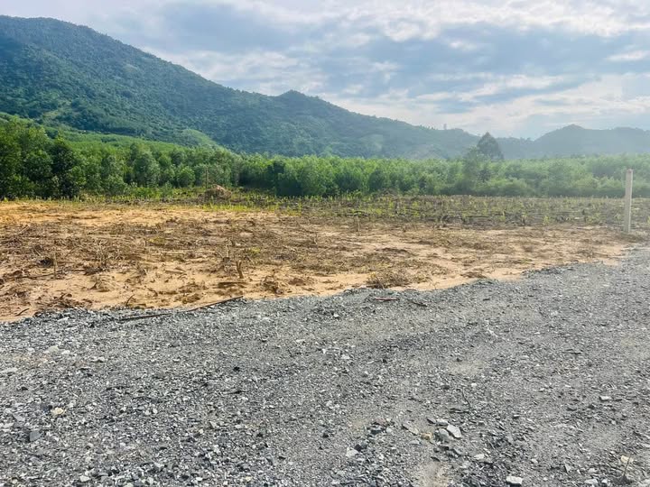 Bán nhanh lô đất 84m² full thổ cư tại Khánh Đông, Khánh Vĩnh - giá chỉ 99 triệu