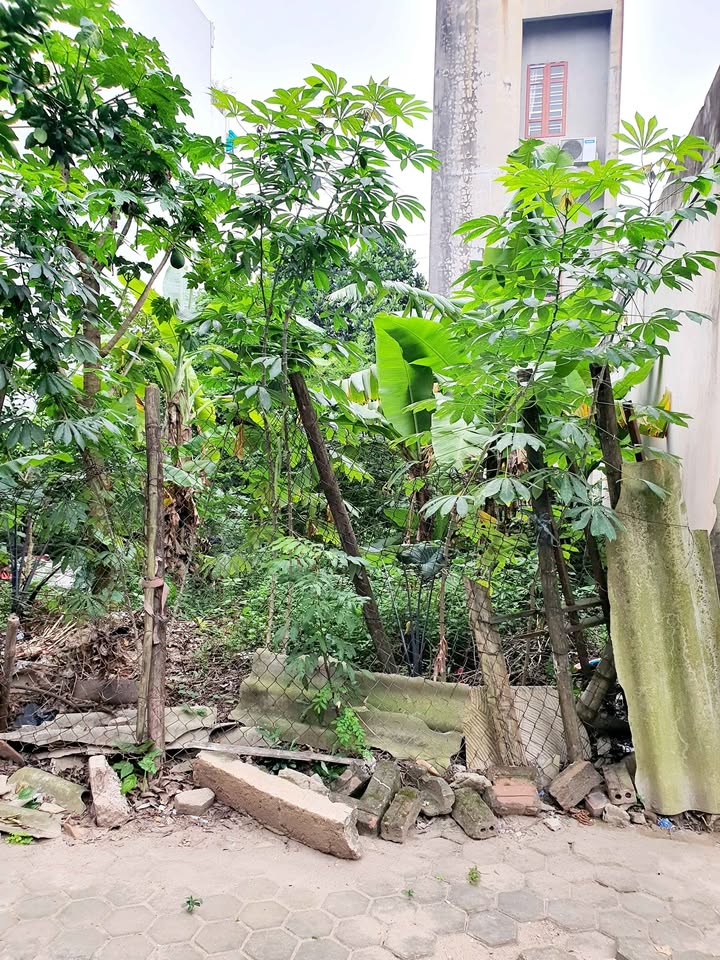 Đất vàng mặt đường Trần Bang Cẩn - 63m2, mặt tiền 4.5m, hướng Đông