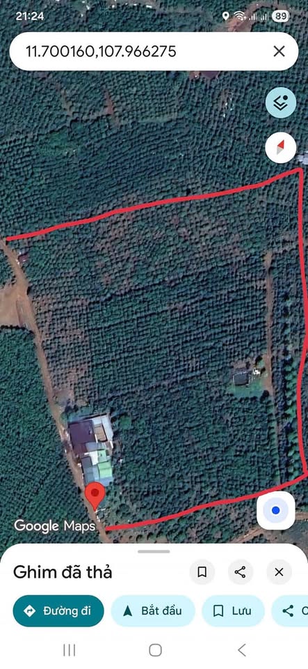 Lô đất vườn Tân Lâm: 4.5ha đất bằng phẳng, cà phê tươi tốt