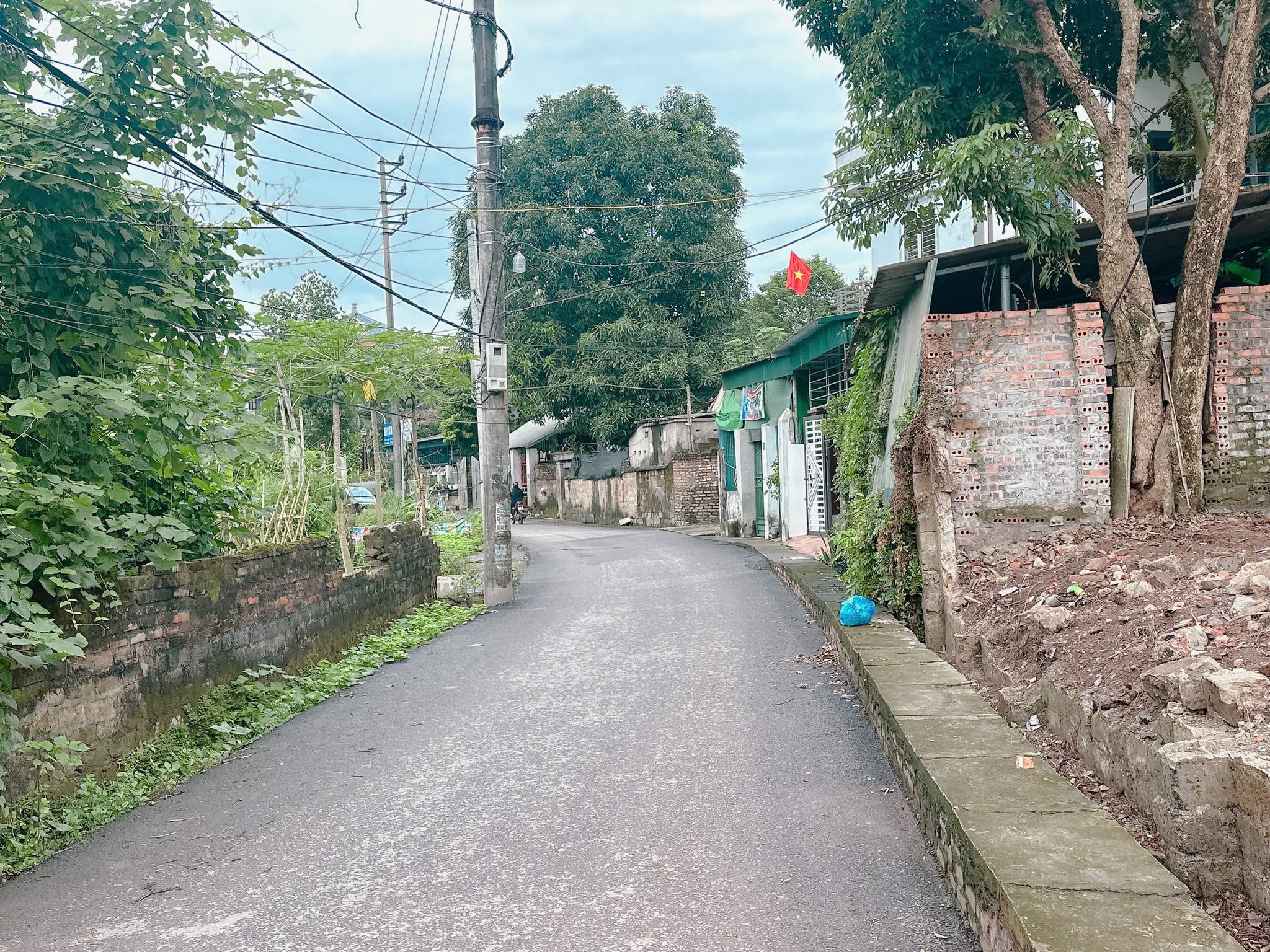 Đất xịn sò khu 13, Thanh Miếu sổ đỏ 97m2, mặt tiền 4,92m, đường apphan tới nơi