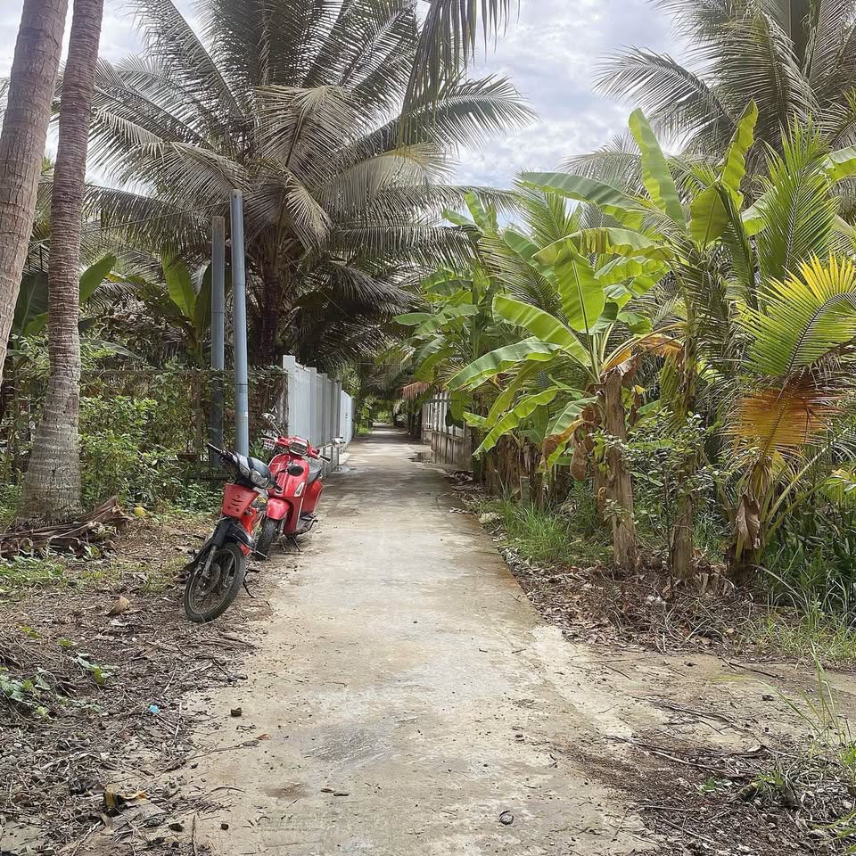 Cơ hội sở hữu nhà vườn tuyệt đẹp tại xã Nhơn Thạnh, thành phố Bến Tre