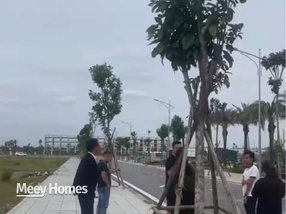 Bước vào khu đô thị Hoàng Lý, Kim Bảng, Hà Nam, bạn sẽ cảm nhận ngay không khí sôi động và tiềm năng