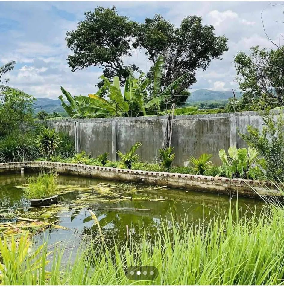 Bán vườn diện tích 1000m2 tại đường Đào Duy Từ nối dài, xã Đăkbla, tỉnh Kon Tum