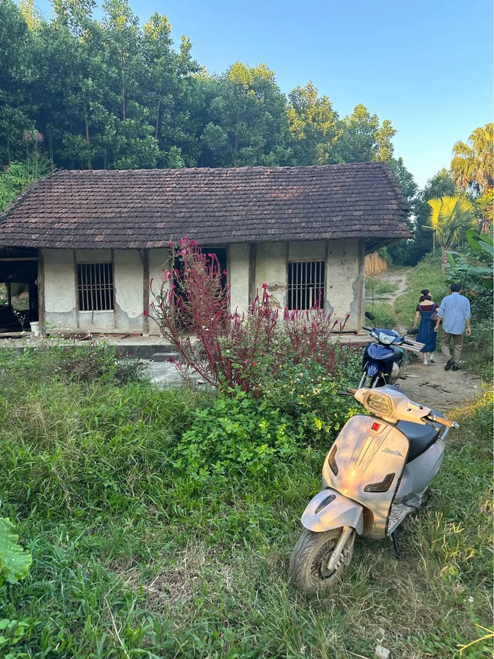 Đất trang trại 1.7ha Yên Sơn - Vườn, ao, chuồng sẵn sàng, chỉ thiếu... bạn