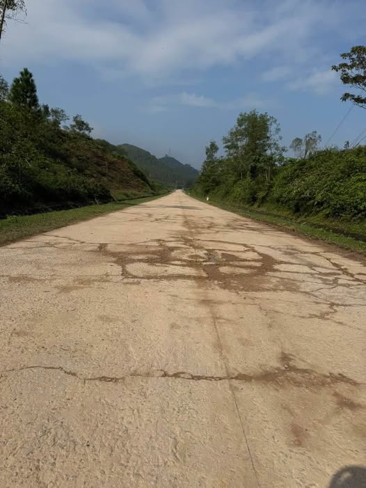 Đất rừng sản xuất 1.5ha bám đường TL21, Hà Tĩnh - Cơ hội đầu tư không thể bỏ lỡ