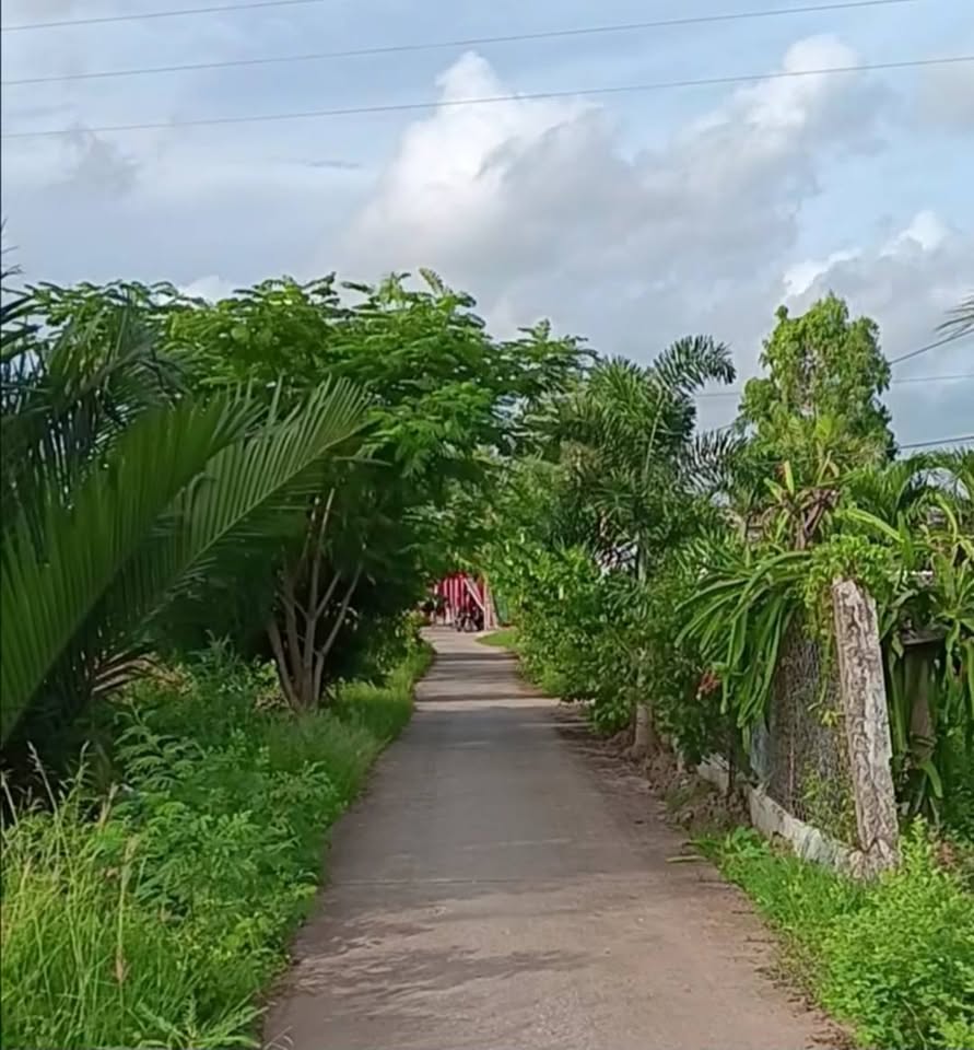 Đất nền Giồng Me, Bạc Liêu 500m2, giá hời, đầu tư hay an cư đều ngon