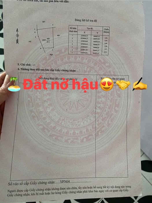 Đất Mỹ Xá nở hậu, ngõ thông Tô Hiến Thành