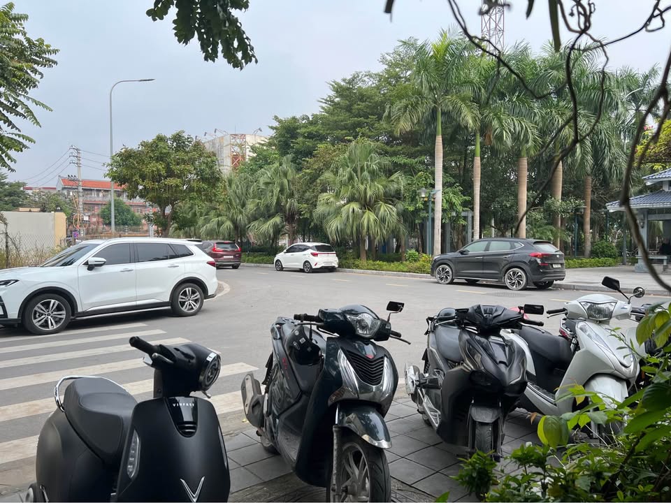 Đất biệt thự Dệt, Nam Định - Lô góc công viên, hướng Đông Nam - Đông Bắc, 240m2