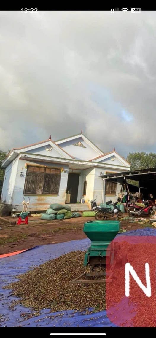 Bán nhà mái thái x40m, 100m2 thổ cư tại Ea H'Leo, Đắk Lắk