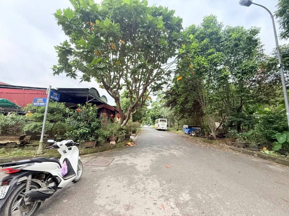 Mảnh đất Cầu Lim tuyệt đẹp, với diện tích 244m² và mặt tiền rộng 10m, mang đến hướng Tây Bắc đón gió mát lành