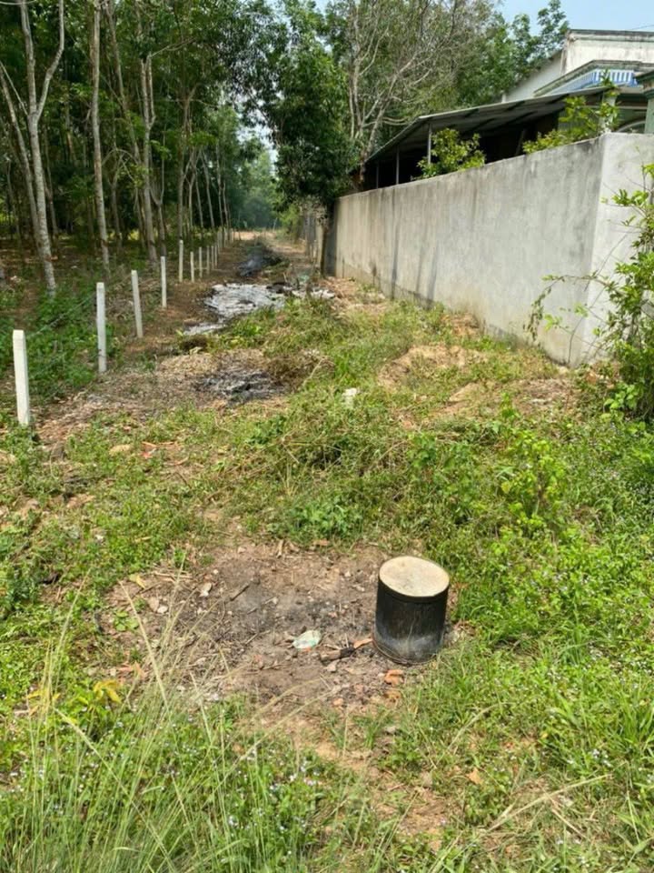 Đất thổ cư Long Nguyên Bàu Bàng - Cơ hội an cư và đầu tư hấp dẫn