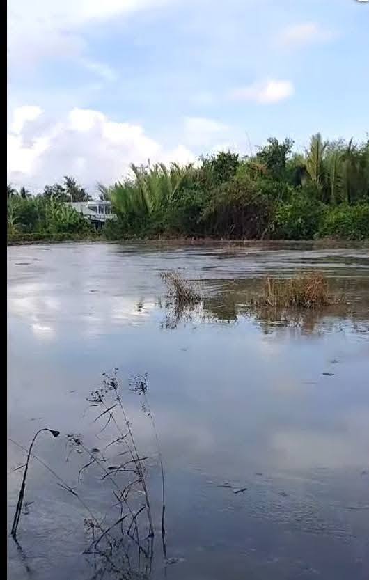 Bán đất vị trí đắc địa tại Vĩnh Thuận Đông, Long Mỹ, Hậu Giang 5775m²