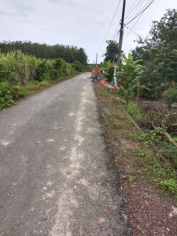 Về lại Ninh Điền, Tây Ninh, nơi điền trang xưa hiện ra với kích thước rộng lớn