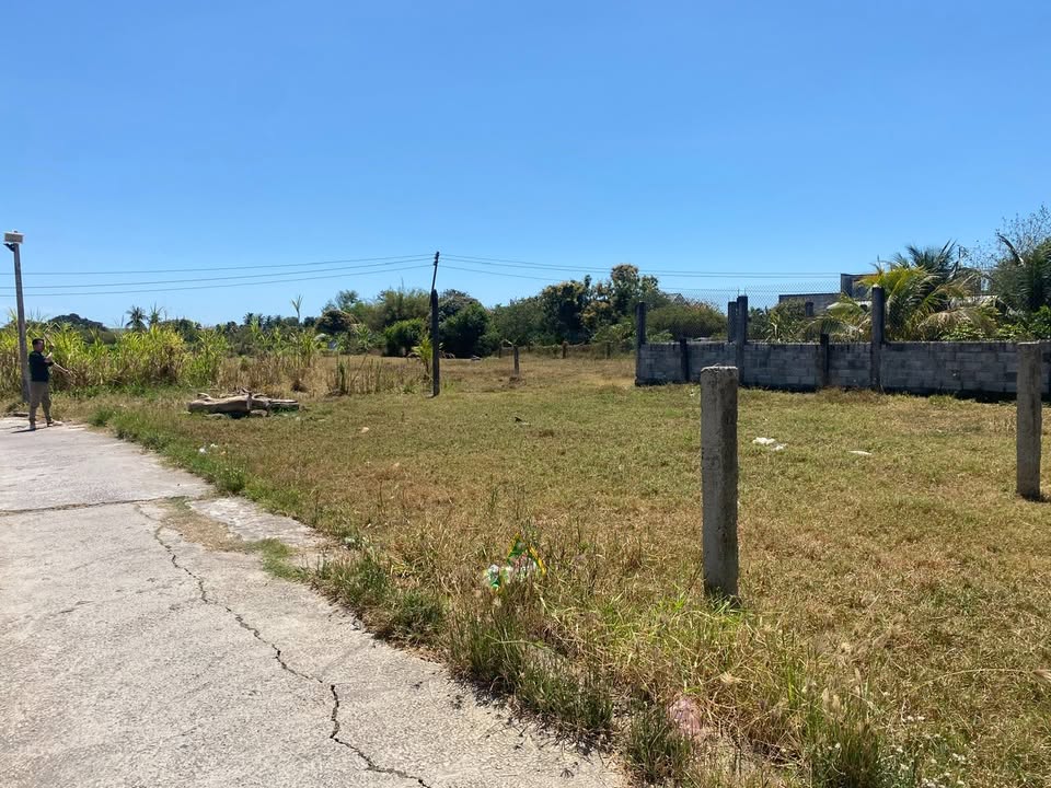 Đất vàng Hàm Thắng chờ đón chủ nhân diện tích khủng, giá chỉ 1,6 tỷ