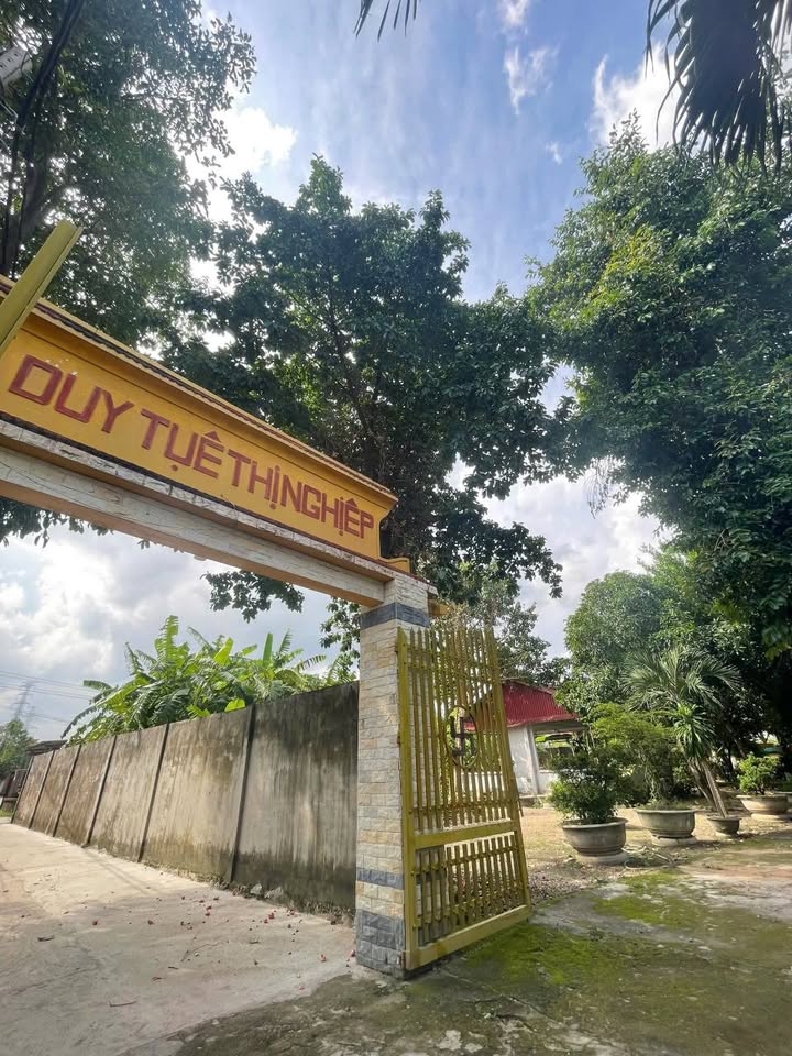 Siêu phẩm đất vàng Phú Mỹ - 3000m2 chỉ chờ đợi bạn