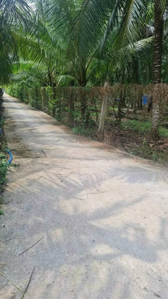 An cư lạc nghiệp tại nền Phú Tân, Bến Tre - Vị trí đắc địa, giá tốt