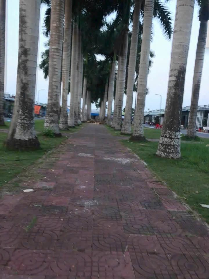 Nhà trệt lửng khu đô 5A, an cư lạc nghiệp