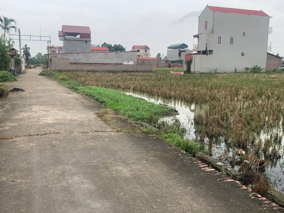 Đất 90m² An Bình, Thuận Thành, ường rộng thênh thang, giá hời như cho