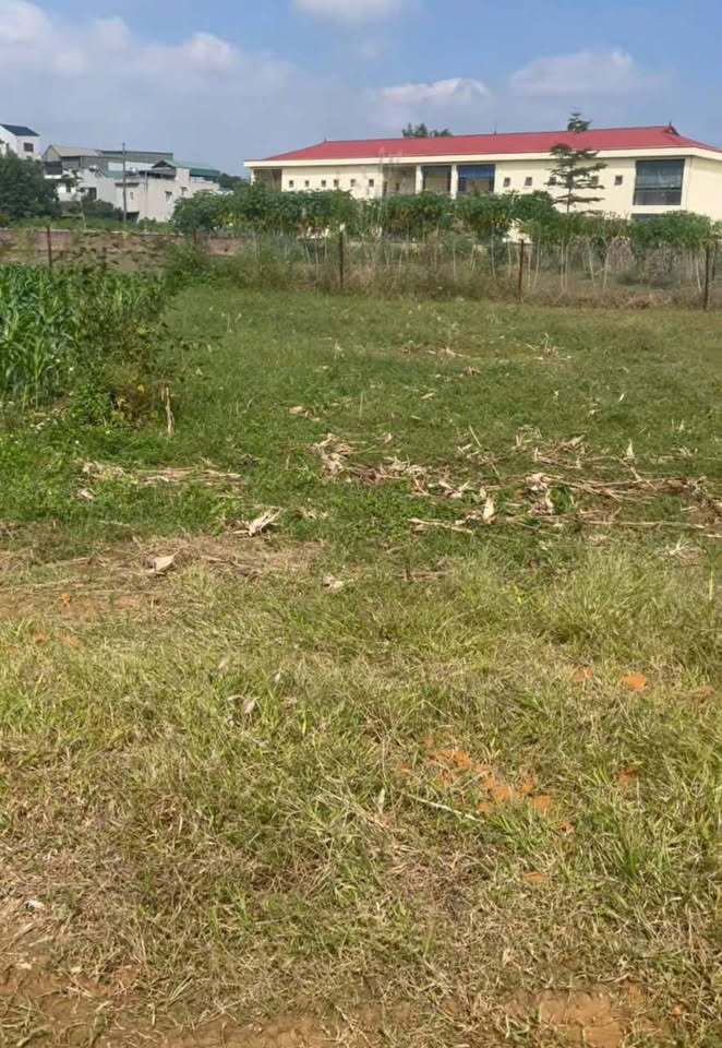 Đất Thanh Hà 150m² sát trường mầm non, đường 2 làn xe, giá hời