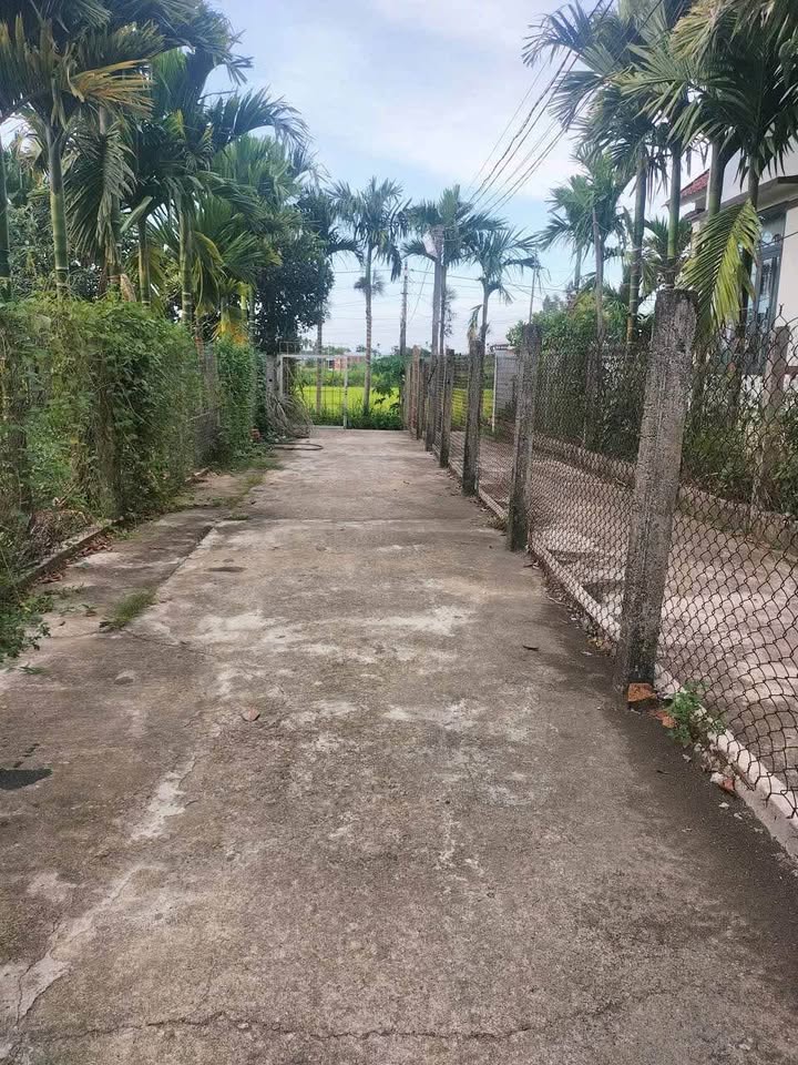 Bán nhanh mảnh vườn 429m2 tại Tịnh Hà, Quảng Ngãi, thích hợp làm nhà vườn