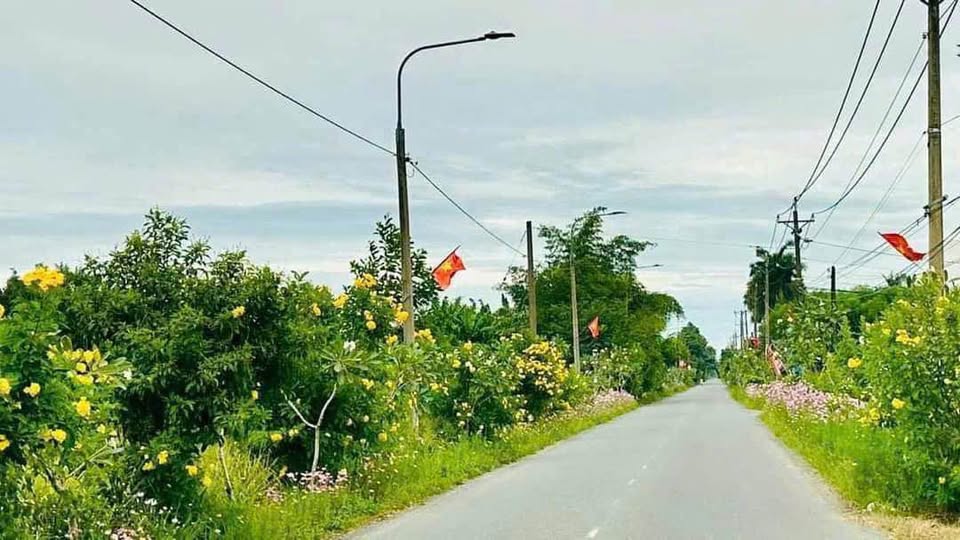 Đất vàng Thạnh Phú, đầu tư đón sóng hạ tầng, sinh lời cực đỉnh