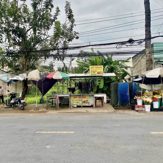 Đất vàng chợ Sơn Đông, Bến Tre 341m2, mặt tiền 7m, giá 3,3 tỷ