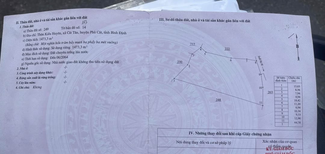 Bùng nổ 1500m2 đất lúa vàng tại Cát Tân sổ hồng sẵn sàng, giá hời 140 triệu