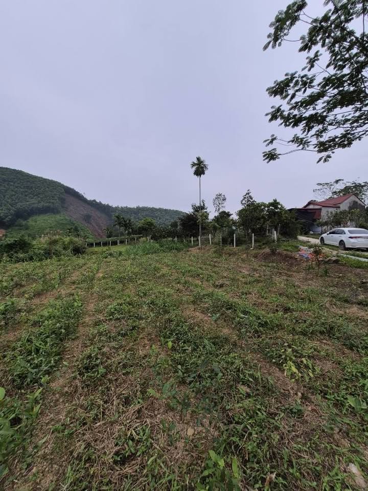 Chủ nhà "mát tay" gửi bán gấp lô đất siêu đẹp tại Phổ Yên, Thái Nguyên, diện tích lên tới 5470m2