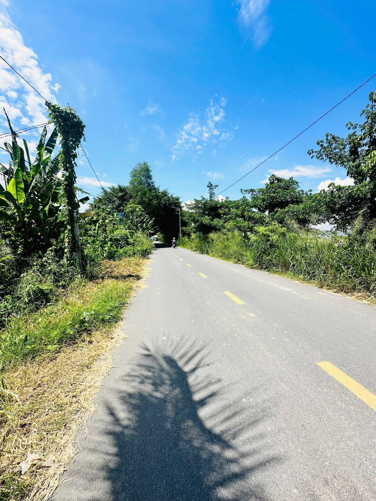 Đất vàng 209m2 mặt tiền Hương lộ 45, giá hời 1.98 tỷ