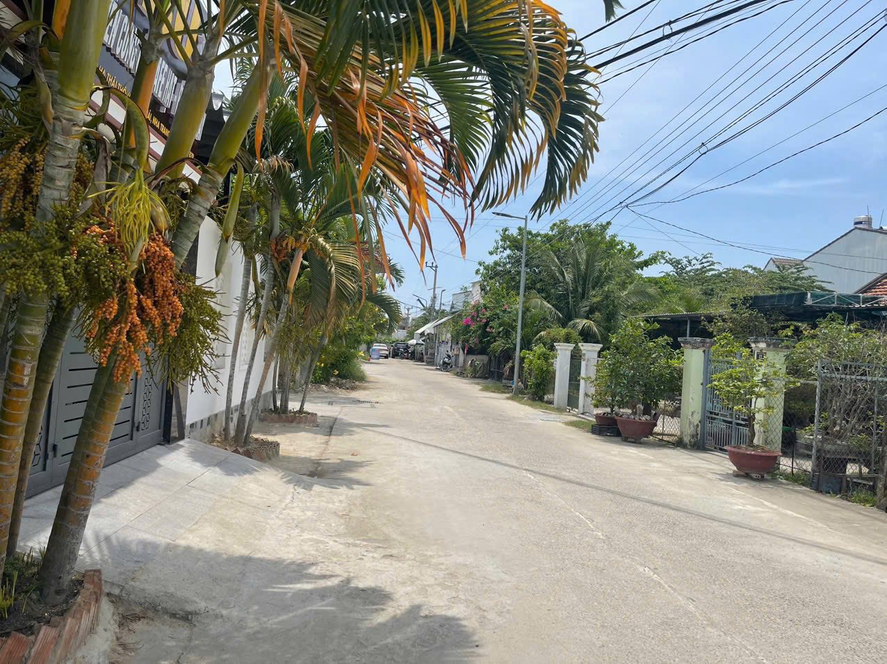 Vĩnh Thái lô đất mặt tiền đường Thái Thông, vị trí đắc địa