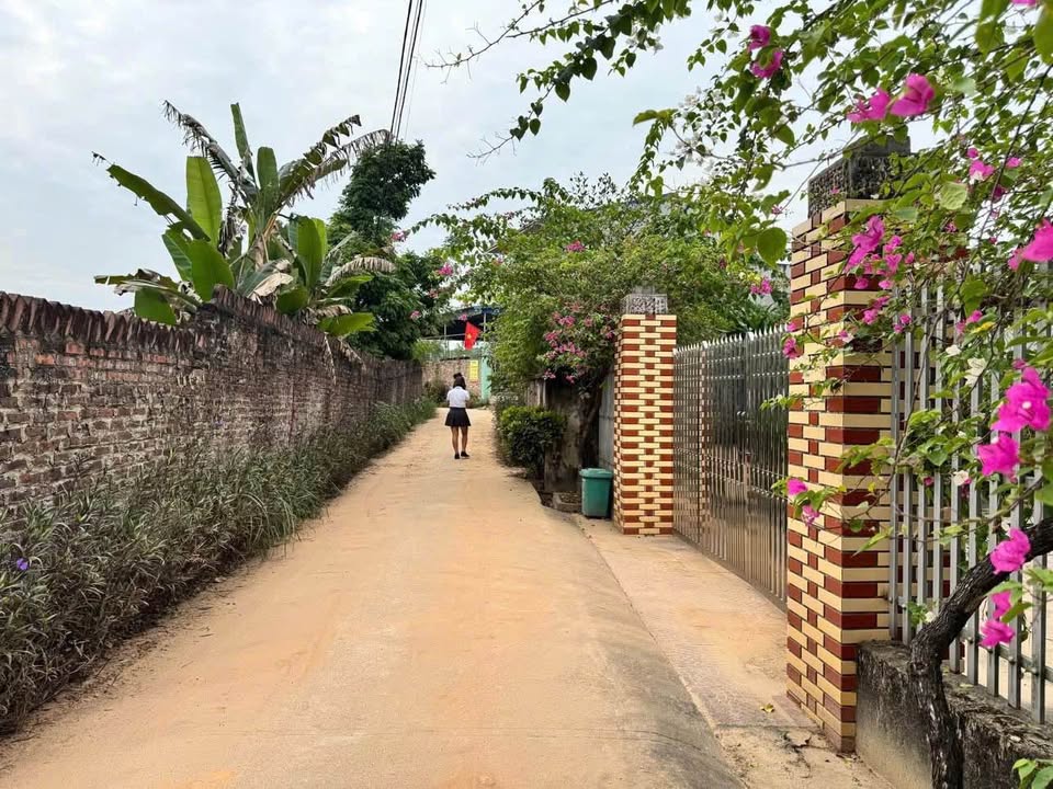 Cháy hàng! 2 lô đất view đồi siêu xinh, ô tô đỗ tận nơi, giá nhỉnh 2 tỷ