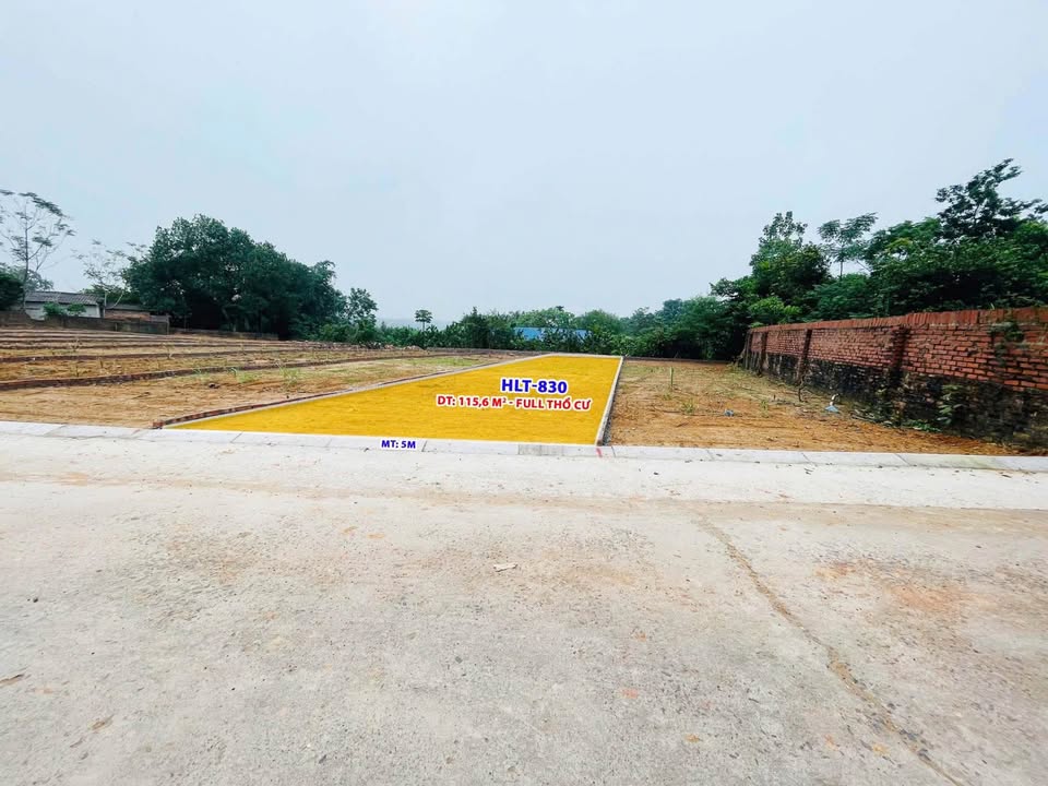 Bán đất thổ cư đẹp tại Hướng Đạo, Tam Dương, Vĩnh Phúc