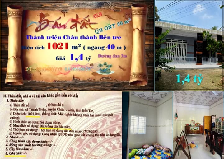 Bán đất vàng 1021m² kèm nhà xinh, vườn sầu riêng trĩu quả tại Châu Thành, Bến Tre, giá hời