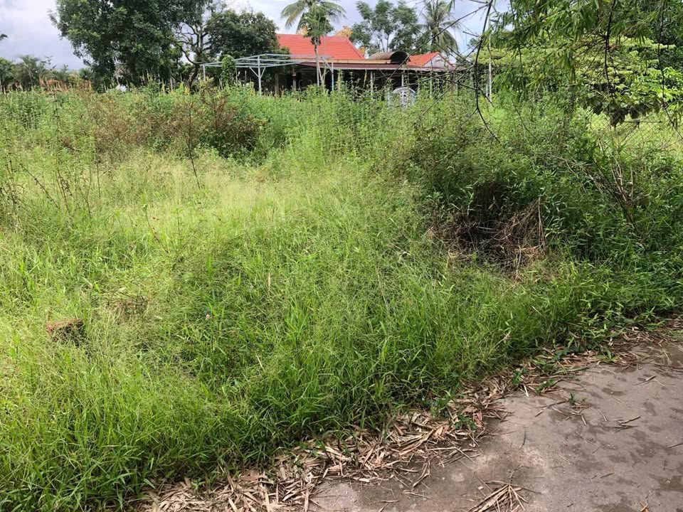 Siêu phẩm đất Thủy Phù, Huế diện tích khủng 135m², ngang 5m