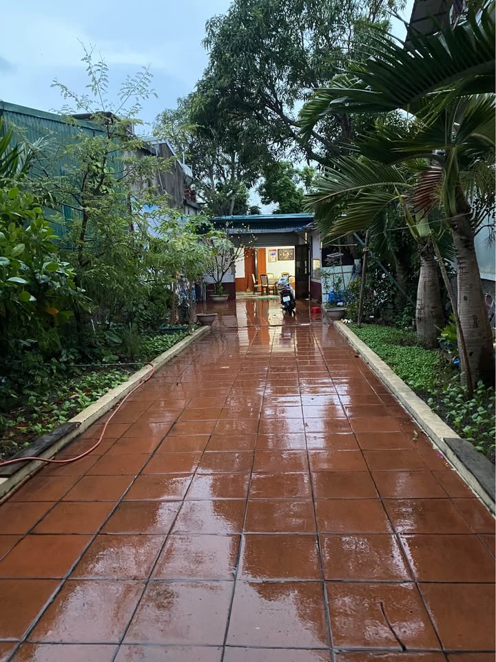 Nhà xinh 245m² Cẩm Phả, ô tô tránh, biển mát