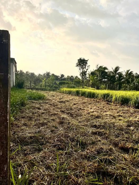 Siêu phẩm đất thổ cư tại phường Phú Khương, Thành phố Vĩnh Long