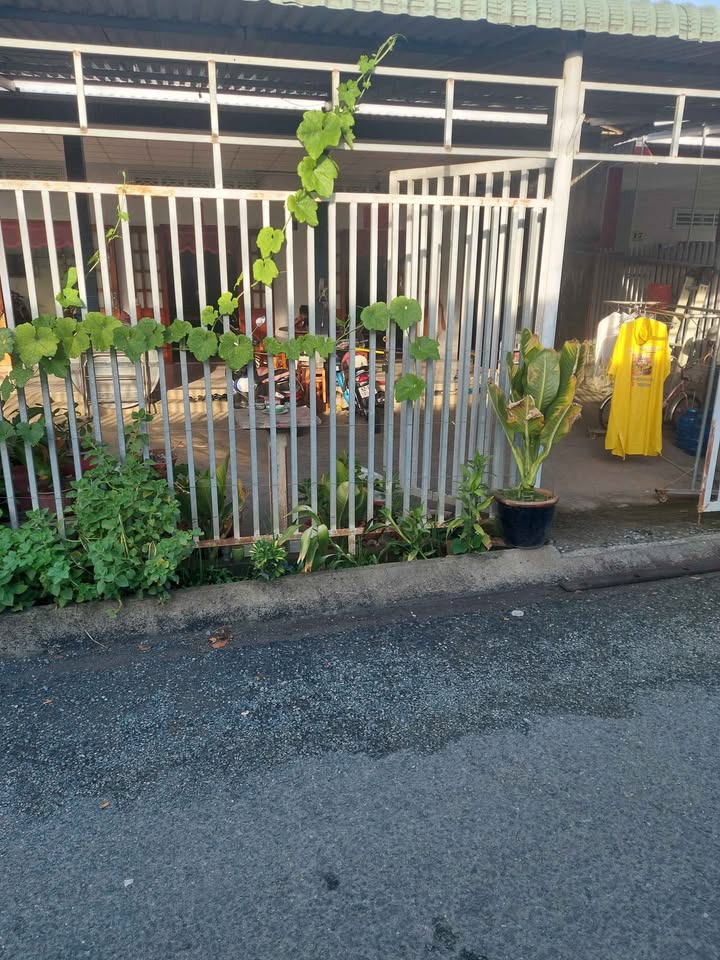 Nhà cấp bốn cổ kính mặt tiền Cù Khắc Kiệm nơi an cư lý tưởng