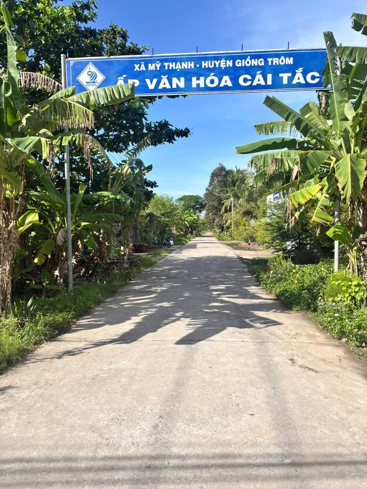 Gieo mầm ước mơ trên mảnh đất vàng Vĩnh Long