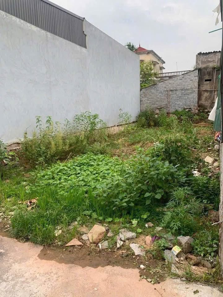 Bán đất vuông đẹp 88m² hướng Đông Nam, đường ô tô 7 chỗ tại Phú Viên, Phủ Lý