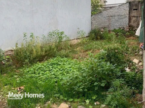 Bán đất vuông đẹp 88m² hướng Đông Nam, đường ô tô 7 chỗ tại Phú Viên, Phủ Lý