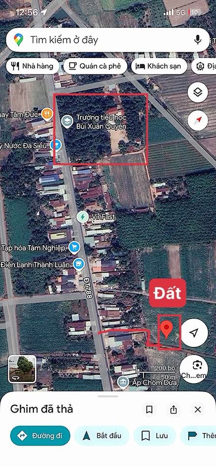 Đất Chòm Dừa, Tây Ninh 250 triệu chốt nhanh, hướng Đông mát rượi