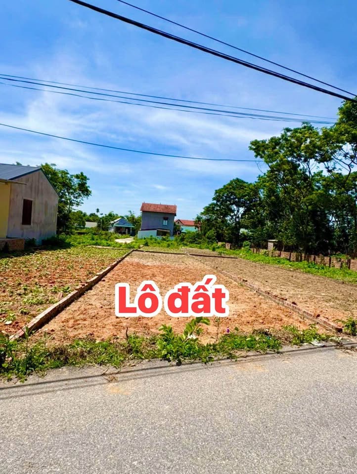 Bán đất thổ cư 111.6m2 Tam Quan, Tam Đảo - Giá chỉ 7xx triệu