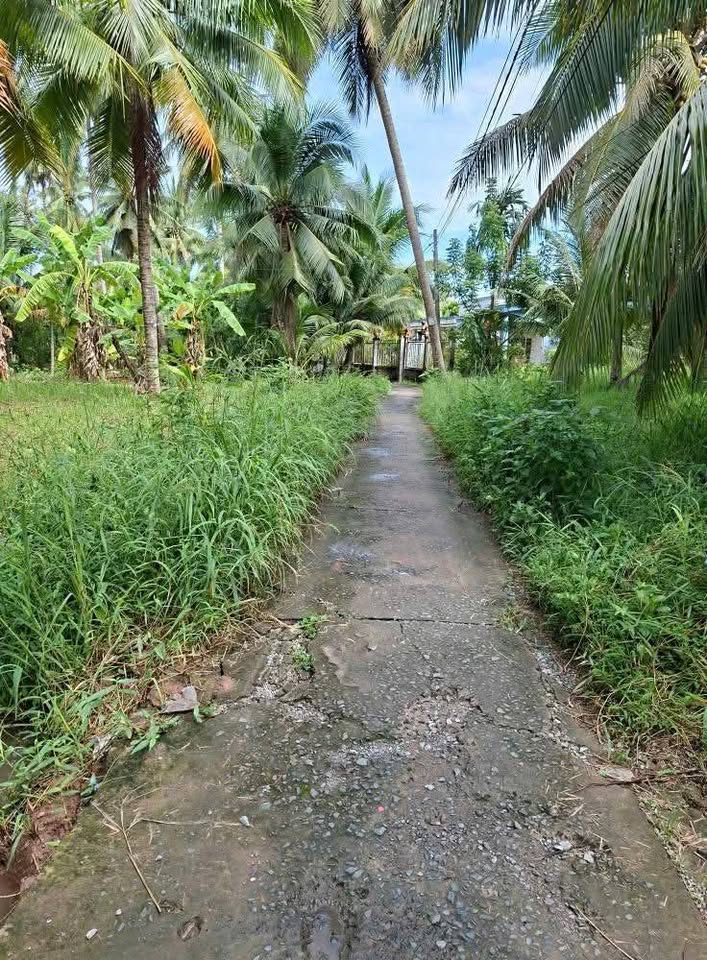 Đất vườn góc 2 mặt tiền hẻm thông, gần chợ, sổ sẵn 680 triệu