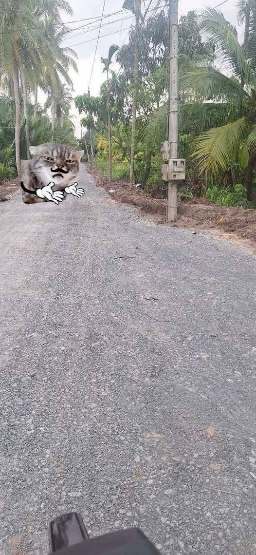 Bán đất nền 719m2, mặt tiền 3m, đường thông tại Lương Hòa, Vĩnh Long