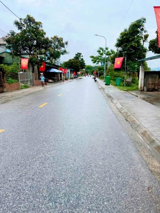 Đất mặt đường 203, Nùng Trí Cao đầu tư nhà vườn, kinh doanh